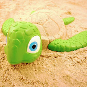 Sand Art Turtle